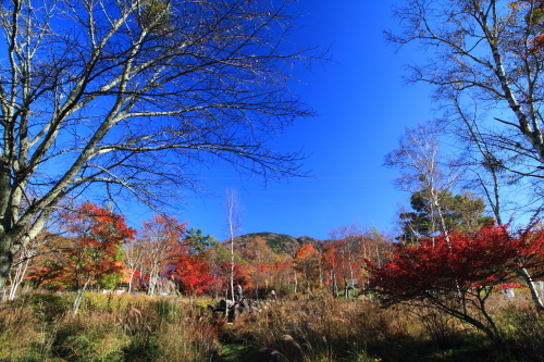 部屋出禁の一日_e0174008_19215358.jpg