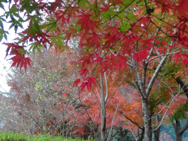 f0231709_23114932.jpg