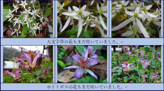 f0231709_2344733.png