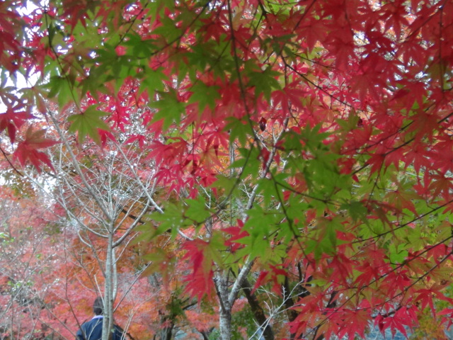f0231709_235548.jpg