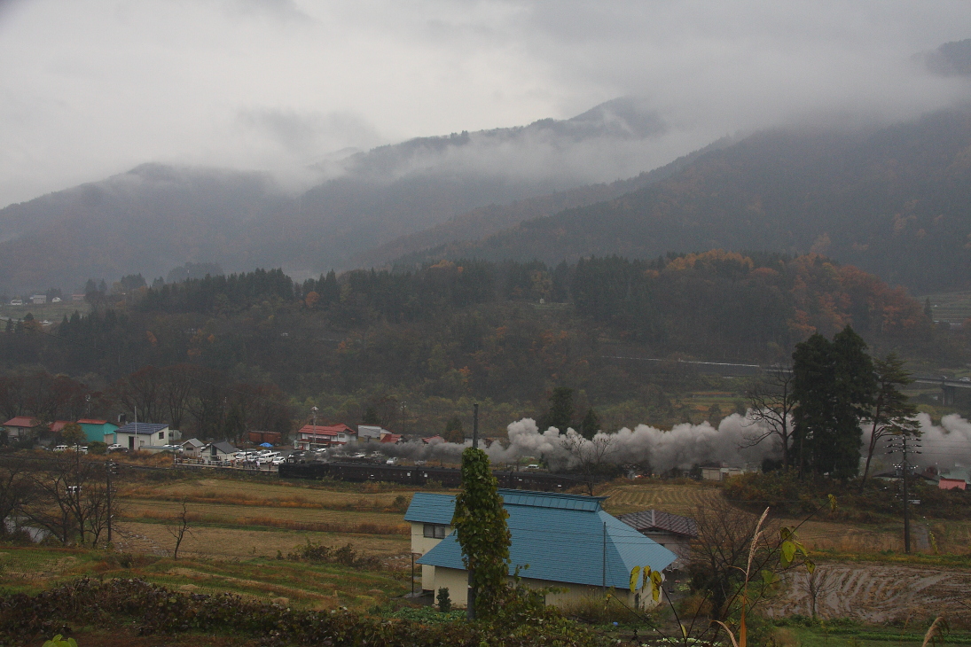 晩秋の雨 - 2016年晩秋・飯山線 - _b0190710_082556.jpg
