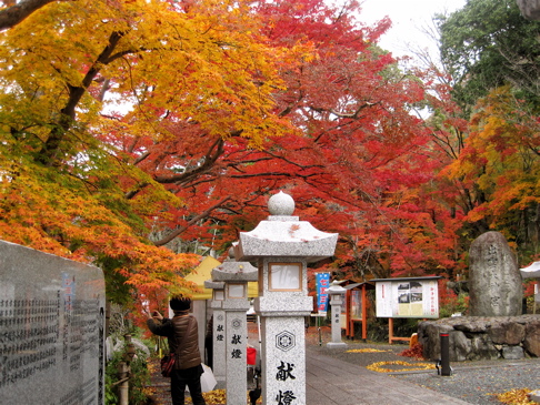 a0164011_21101372.jpg