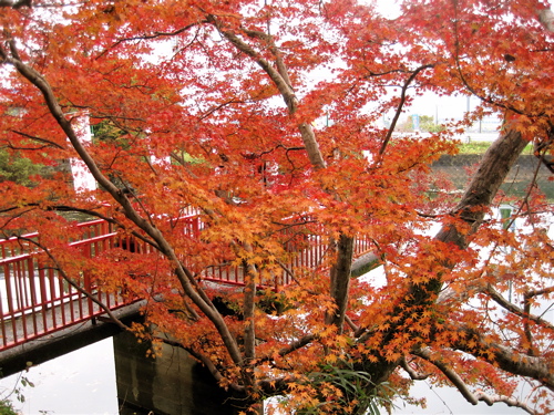 a0164011_2171769.jpg