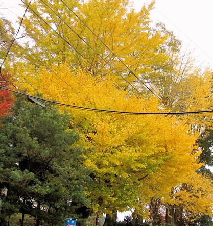 a0164011_2175718.jpg