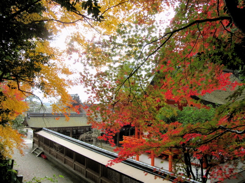 a0164011_2181880.jpg