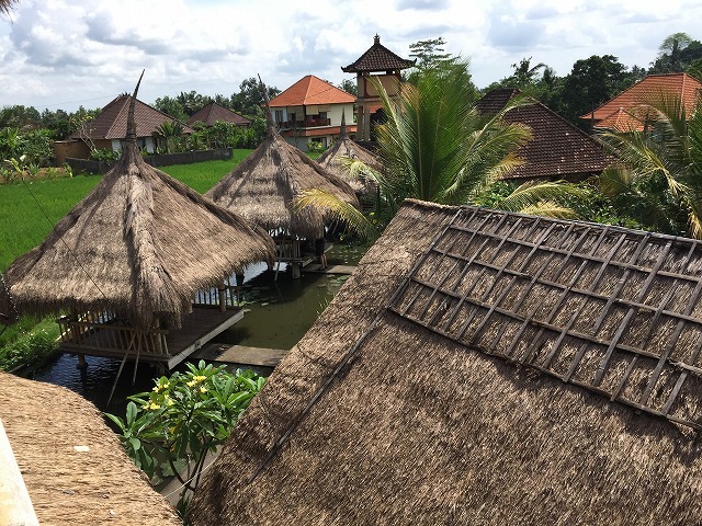 d0224712_11560140.jpg