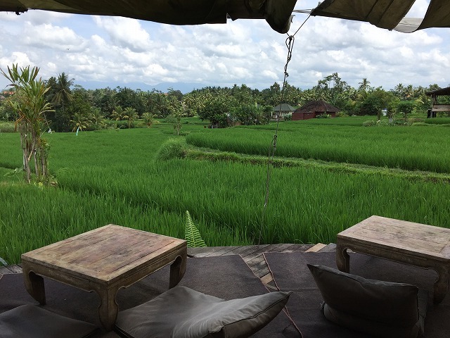 d0224712_19273490.jpg