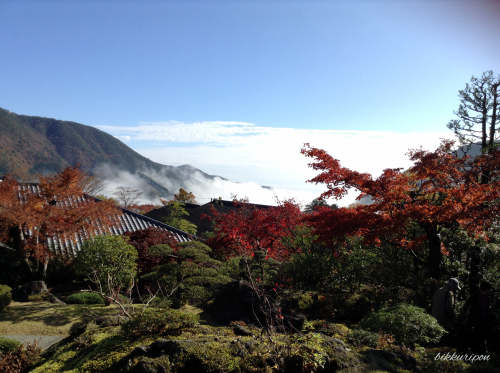 箱根紅葉散策一泊二日_d0344913_09045839.jpg
