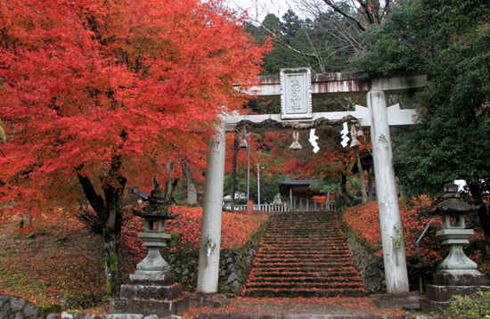 紅葉探訪16　京北熊野神社から美山かやぶきの里_e0048413_1634062.jpg