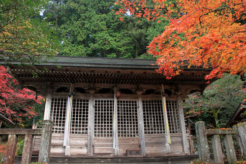 紅葉探訪16 京北熊野神社から美山かやぶきの里_e0048413_1635299.jpg