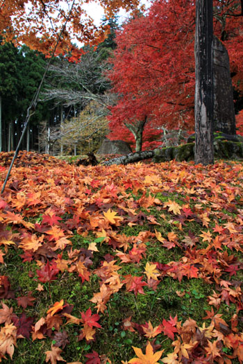 紅葉探訪16 京北熊野神社から美山かやぶきの里_e0048413_1644359.jpg
