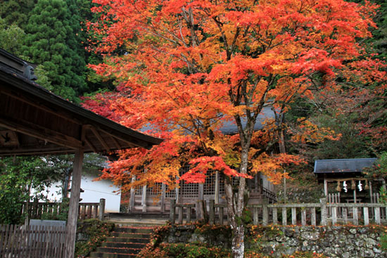 紅葉探訪16　京北熊野神社から美山かやぶきの里_e0048413_164679.jpg