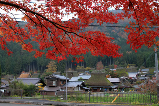紅葉探訪16　京北熊野神社から美山かやぶきの里_e0048413_1655188.jpg