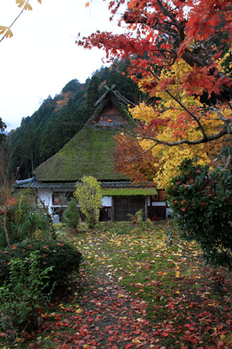 紅葉探訪16　京北熊野神社から美山かやぶきの里_e0048413_1675195.jpg