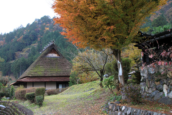 紅葉探訪16　京北熊野神社から美山かやぶきの里_e0048413_1683553.jpg