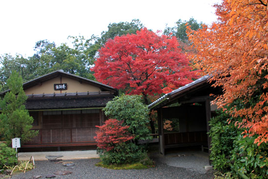 紅葉探訪17 高桐院、光悦寺、源光庵_e0048413_20243699.jpg