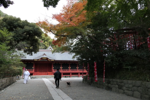 f0369014_19125119.jpg