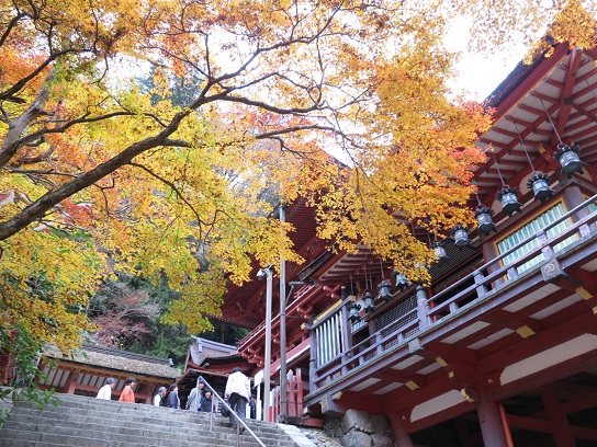 紅葉＠談山神社（11月下旬）_c0192215_19142558.jpg