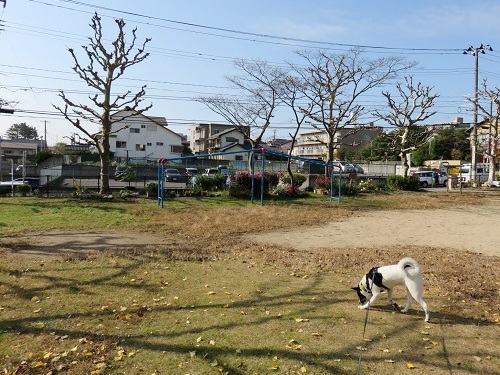 c0084117_19323268.jpg
