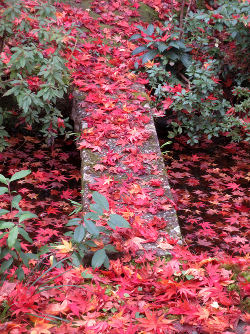 ■二日間の京都紅葉三昧_d0190217_2142208.jpg