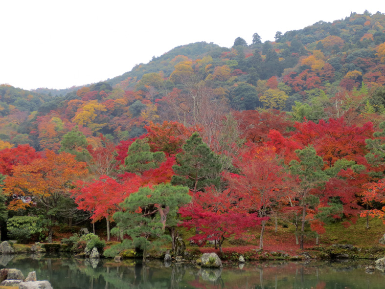 ■二日間の京都紅葉三昧_d0190217_21434542.jpg