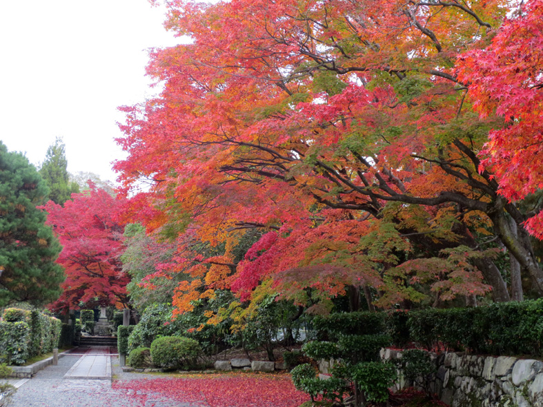 ■二日間の京都紅葉三昧_d0190217_21441745.jpg