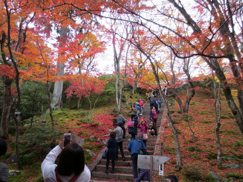■二日間の京都紅葉三昧_d0190217_21461137.jpg