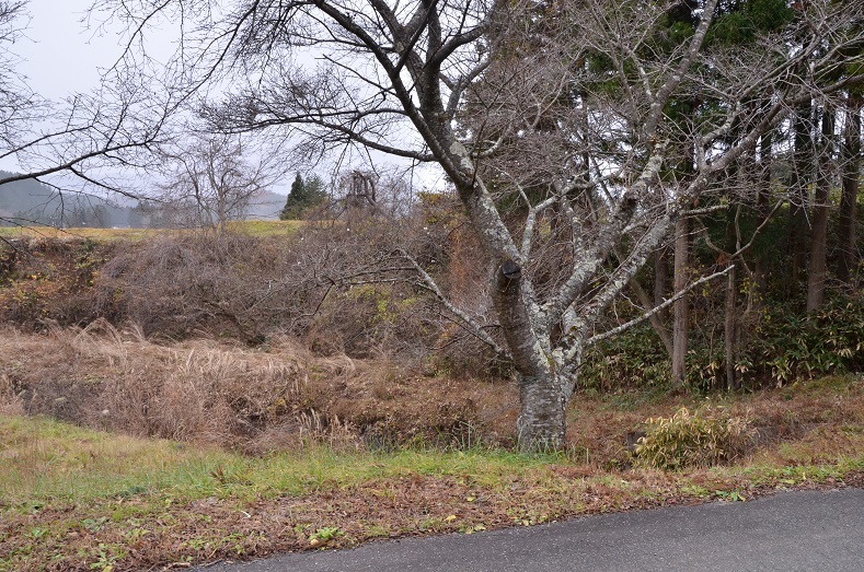 e0349817_19540543.jpg