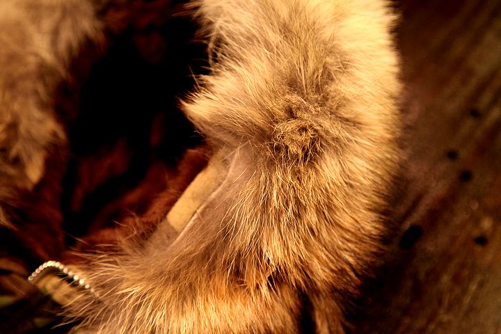 f0165518_20185655.jpg
