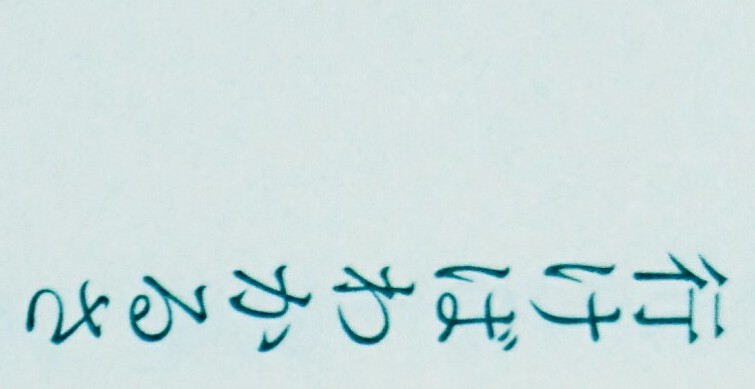 いけばわかるさ Bitebyyourskin いけばわかるさ Bitebyyourskin