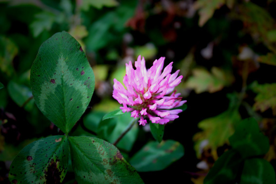 a0329820_14532027.jpg