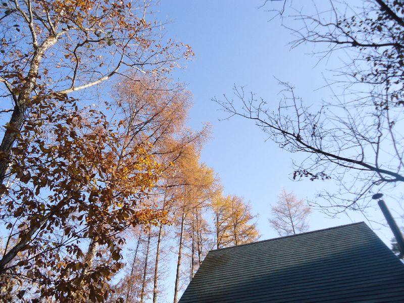 b0248920_2128861.jpg
