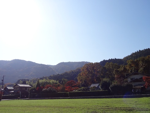 f0000521_5323058.jpg