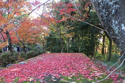 紅葉狩り_c0280322_14374732.jpg