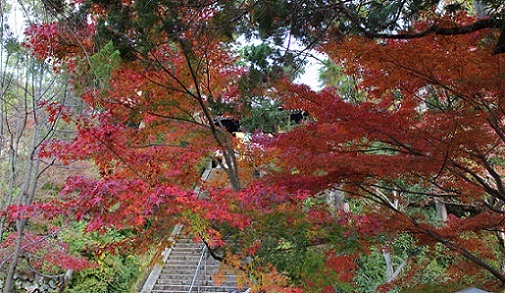 c0280322_14414762.jpg