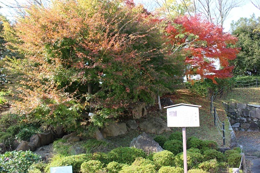 c0280322_15203454.jpg