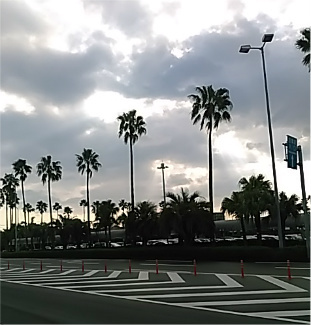f0354923_22070931.jpg