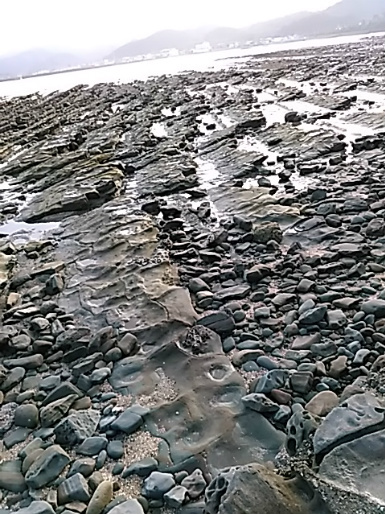 f0354923_22120305.jpg