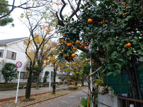 f0362524_15240001.jpg