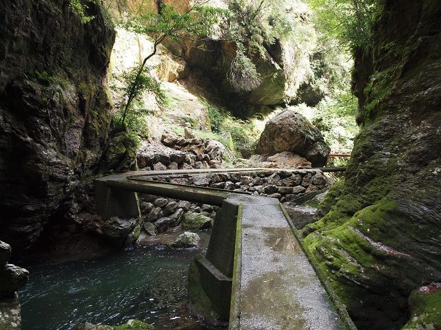 e0303726_11182494.jpg