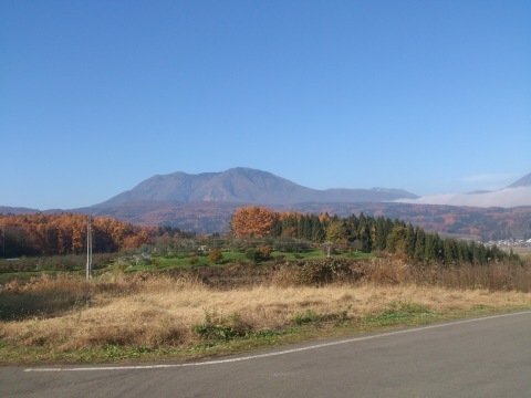 e0230329_20245733.jpg