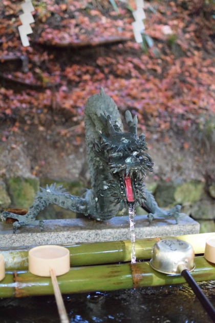 美濃市の秋（八幡神社・大矢田神社）と モネの池（関市）_b0312230_20141534.jpg