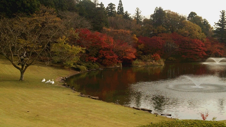 f0002833_20532038.jpg