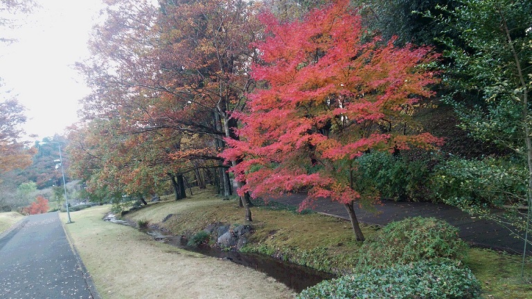f0002833_2142188.jpg