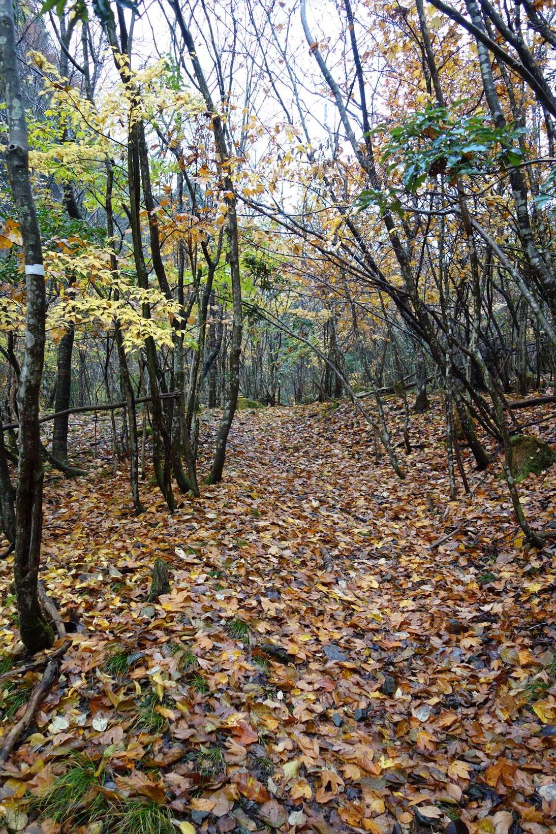 f0348933_10205328.jpg