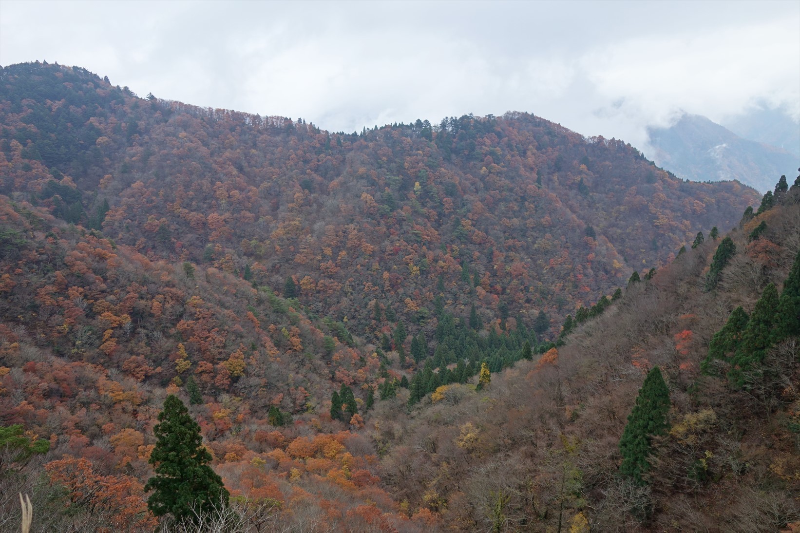 f0348933_10344435.jpg