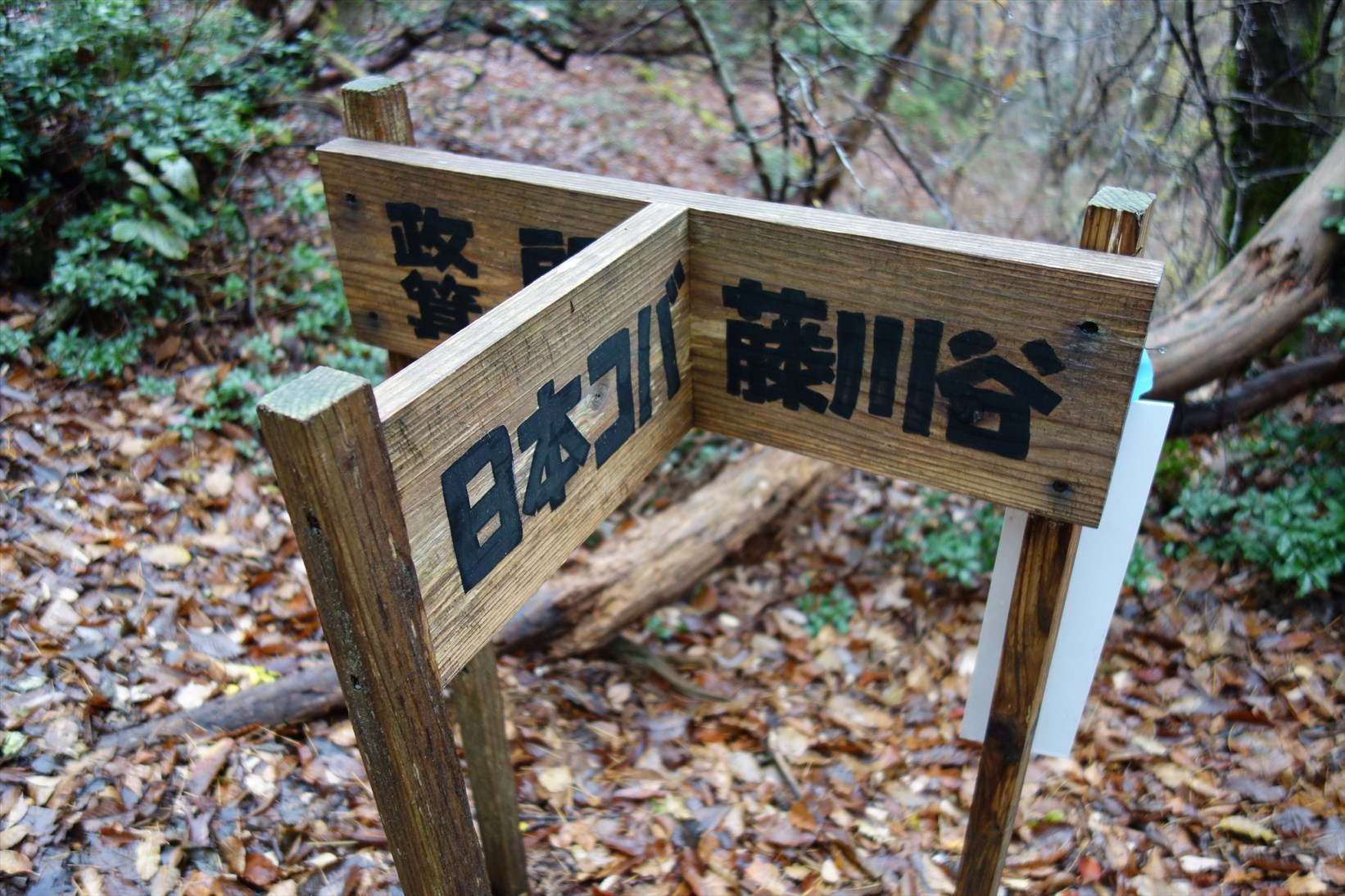 f0348933_10364798.jpg
