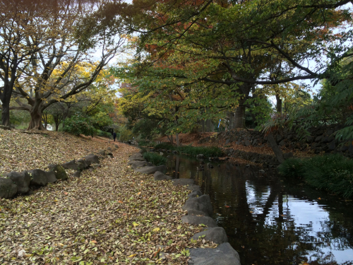 f0327534_11575470.jpg