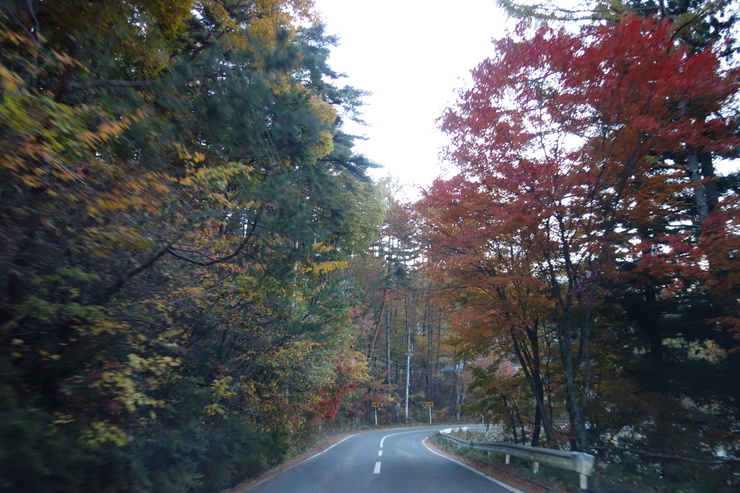 a0287336_20104777.jpg