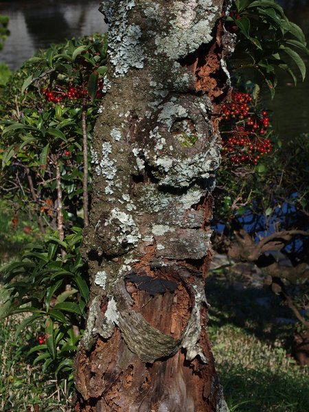 b0190540_11555616.jpg